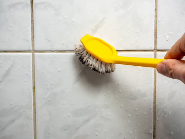 Best Certified Mold Removal  in Judsonia, AR