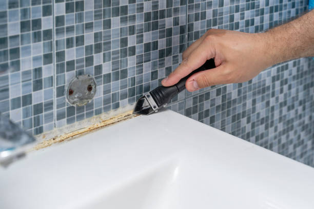 Best Best Mold Removal Companies  in Judsonia, AR